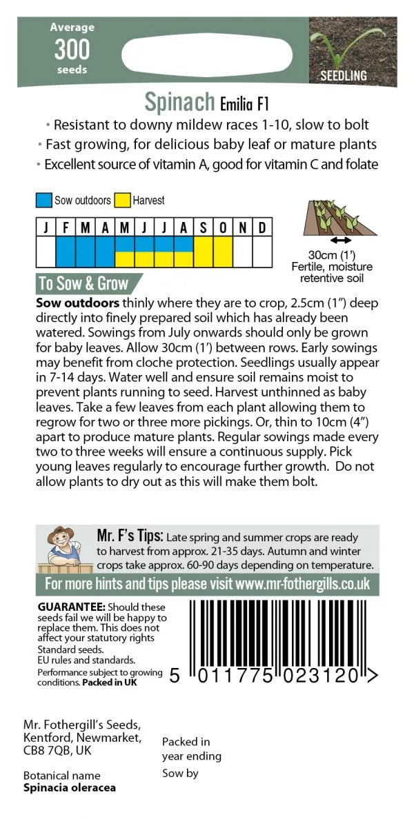 Mr. Fothergill’s Spinach Seeds