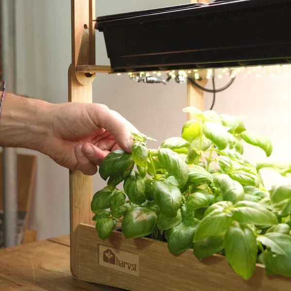 H-mini indoor grow system