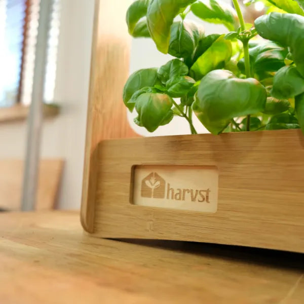 Imperfect H-mini indoor grow system