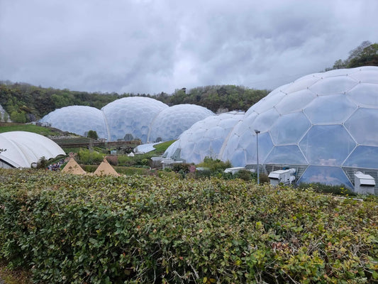 Harvst wins The Eden Project stamp of approval