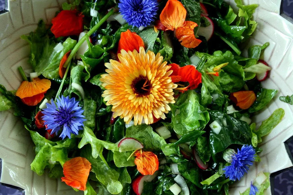 5 Delicious Edible Annuals to Sow for Late Summer