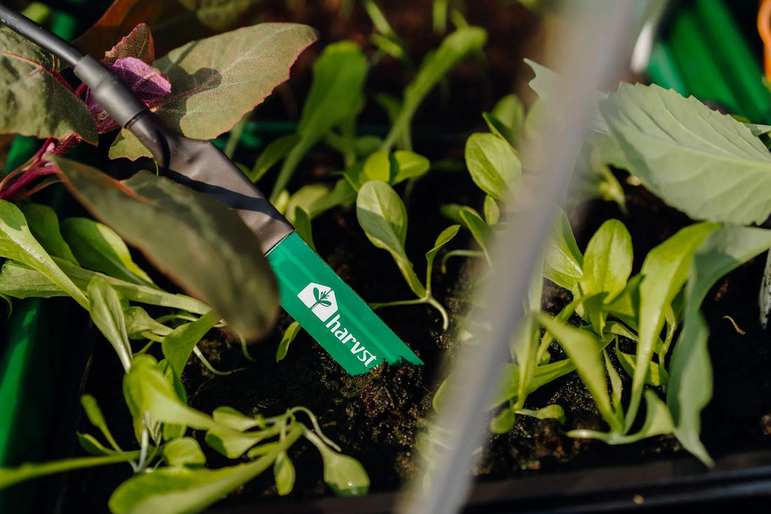 How Do Commercial Glasshouses Use Technology?