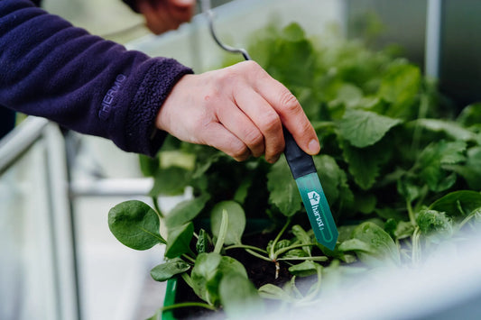 What Does the Future Hold for Global Food Production?