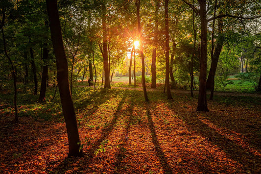 When does Autumn start in the UK? The Autumn Equinox and what it means.
