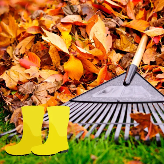 Autumn Gardening Essentials: Must-Have Tools and Supplies