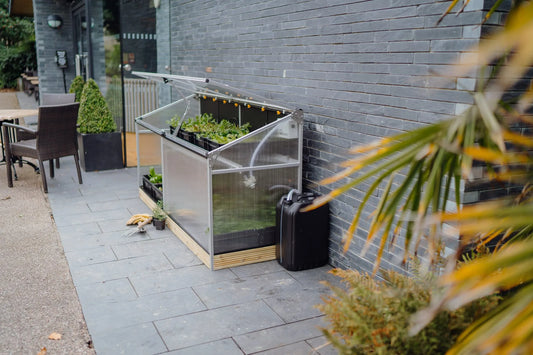 The best growing tips for smaller spaces