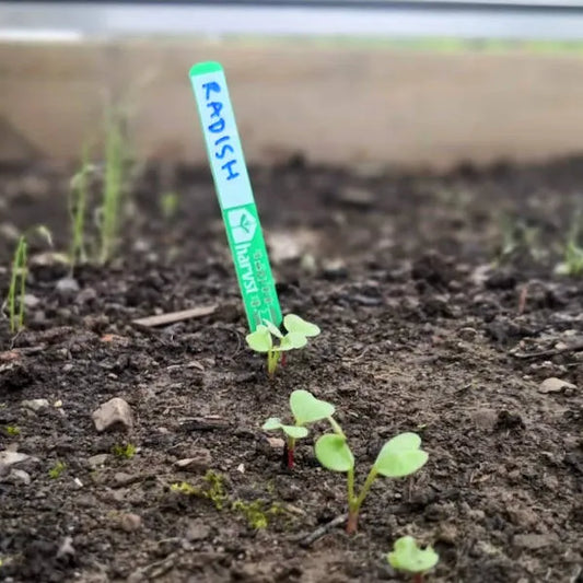 Even Experienced Gardeners Fail