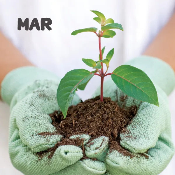 Gardening In March