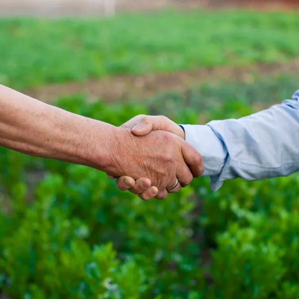 Why we choose our partners