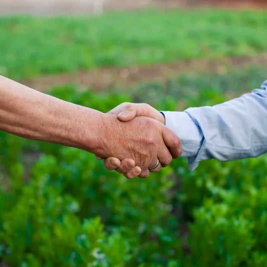 Why we choose our partners