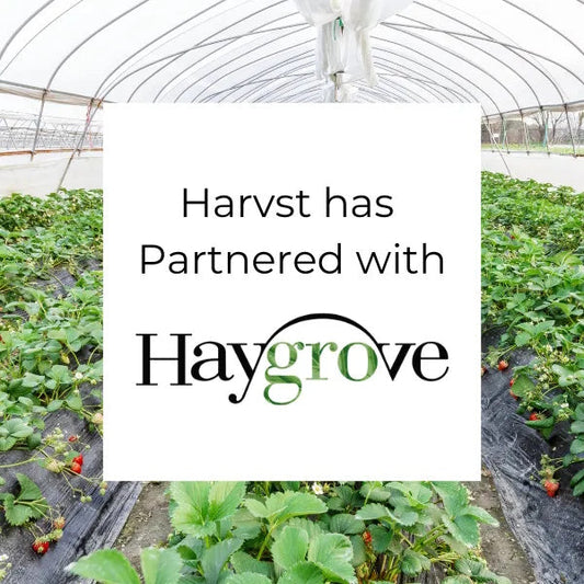 Harvst is doing something remarkable with Sunrich Ltd t/a Haygrove Garden Tunnels!