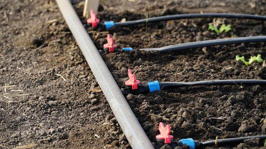 Drip irrigation system with adjustable drippers watering vegetable plants