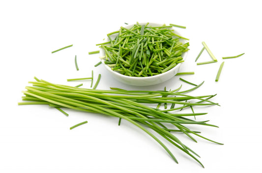 How to Grow Chive