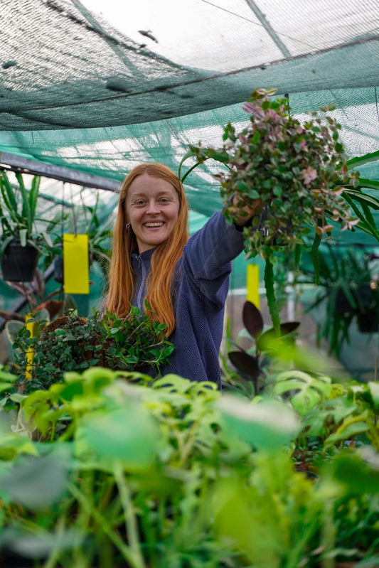 The Problem with Peat: A conversation with horticulturist Harriet Thompson.