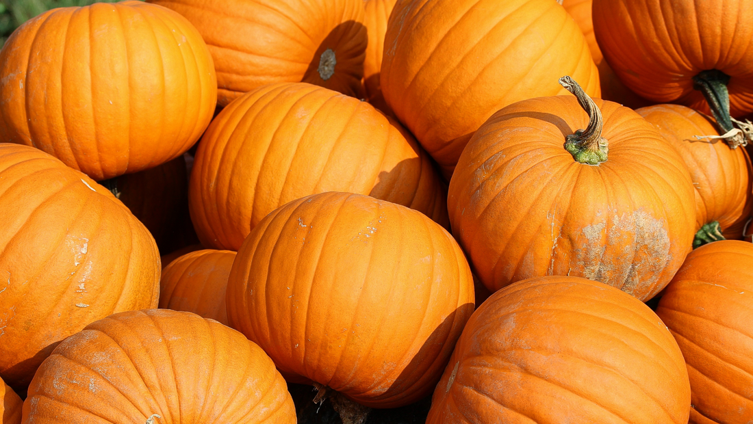 4 Ways to Use Your Leftover Pumpkin