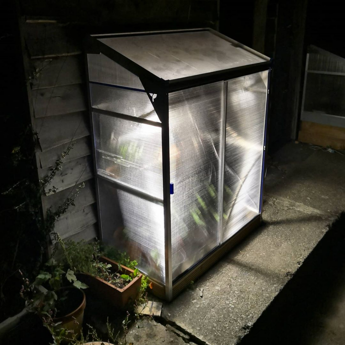 Why do I need a Grow Light? We’ll give you three reasons.