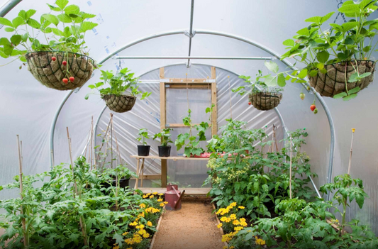Is your polytunnel or greenhouse getting enough water this summer?