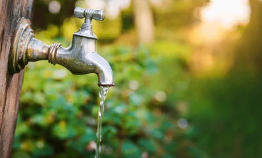 What does it actually cost to water your greenhouse or polytunnel?