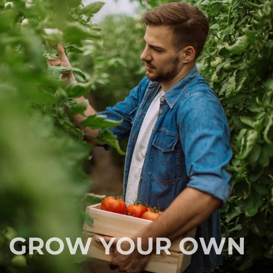 The Benefits of Growing Your Own Food and Harvesting