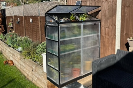 Customer Spotlight: Kevin Woo’s Mini Greenhouse