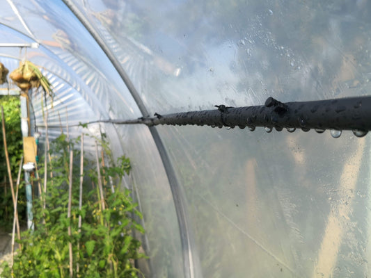 Leveraging Nature’s Irrigation System: Rain