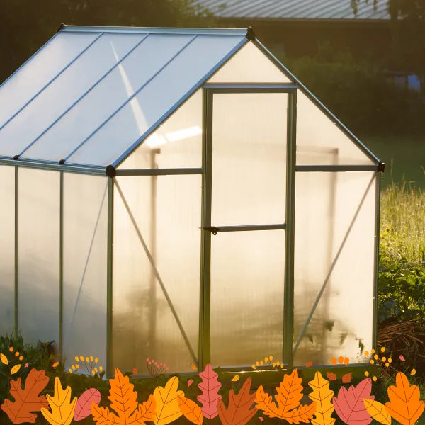 What To Grow In Your Greenhouse In Autumn