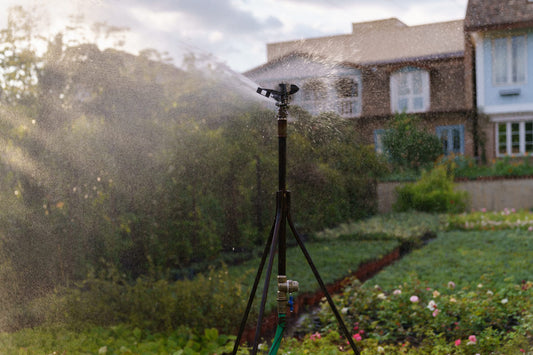 How to Set Up Automatic Watering for Your Greenhouse
