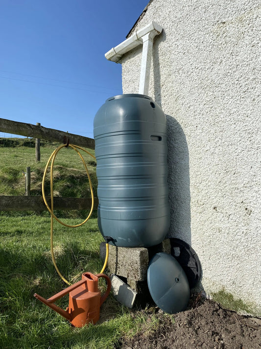 The Benefits of Rainwater Harvesting