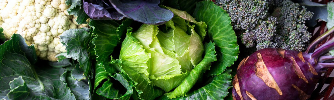 Health Check: Brassicas