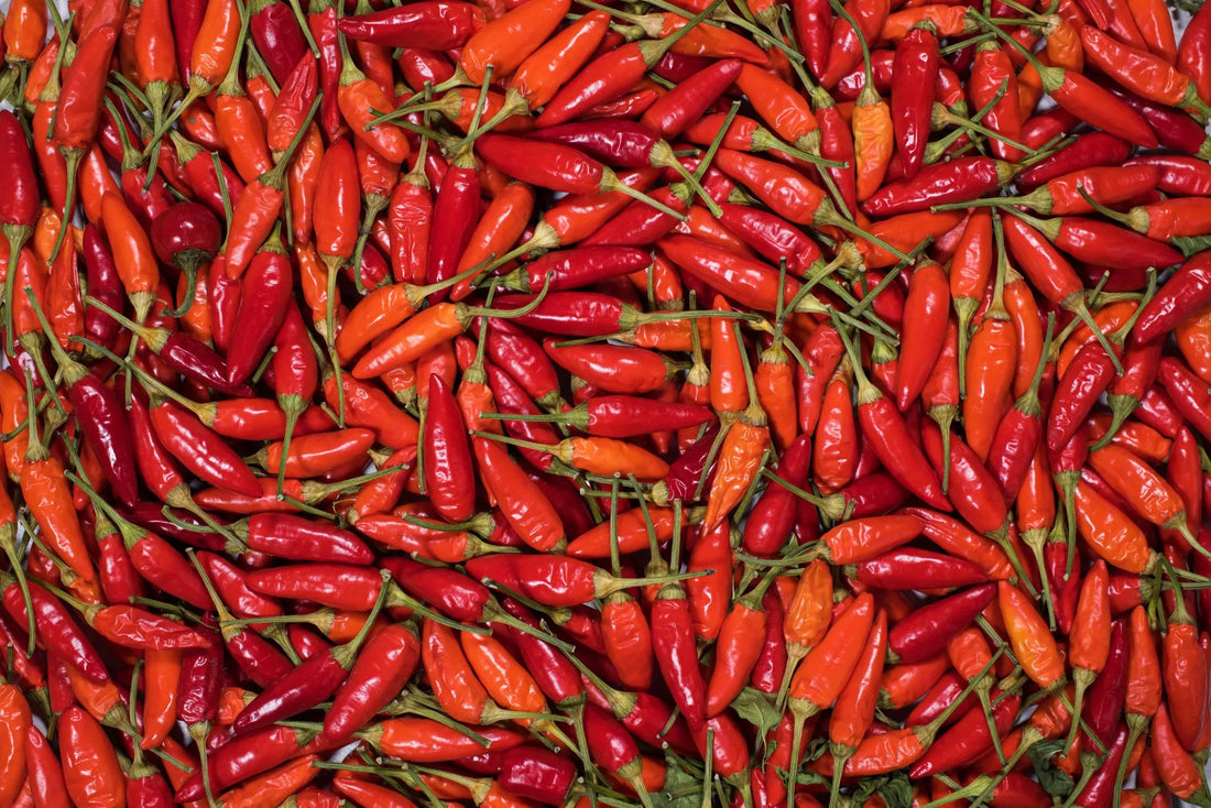How to Grow Chilli Peppers