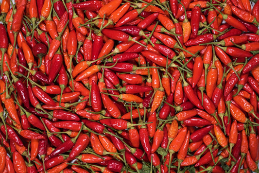 How to Grow Chilli Peppers
