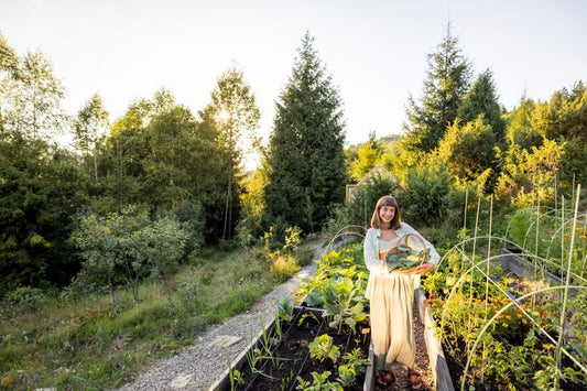 Why Consistent Watering in summer is Crucial for a Thriving Garden