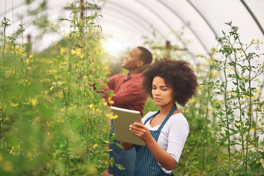 A couple examining smart irrigation benefits in a greenhouse set-up.