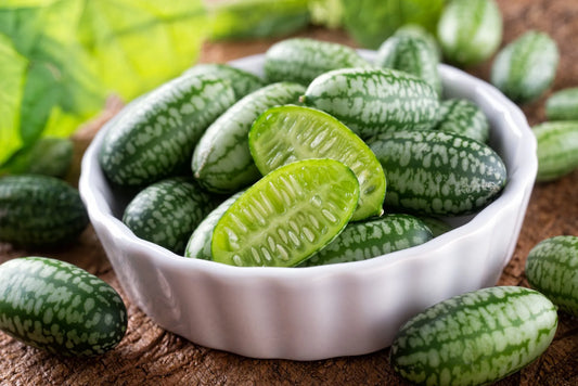How to Grow Cucamelons