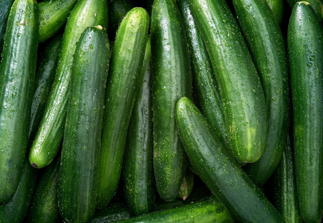 How to Grow Cucumbers