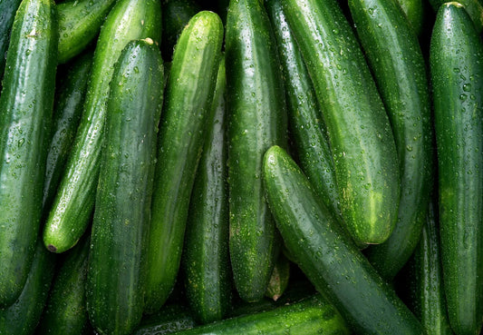 How to Grow Cucumbers