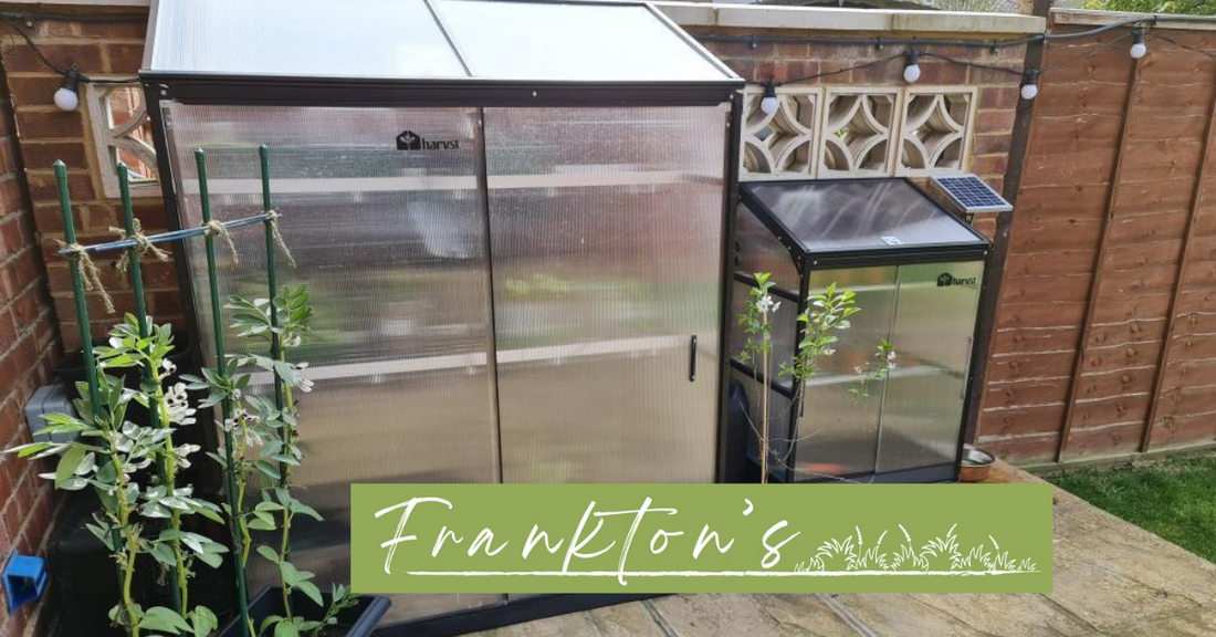 Harvst launches partnership with Frankton’s
