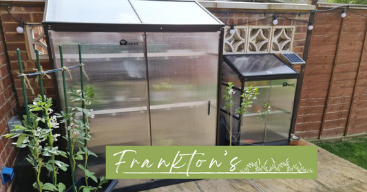 Harvst launches partnership with Frankton’s
