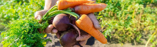 Gardening in July