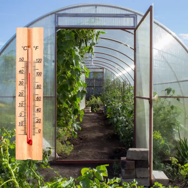 How Do You Keep A Greenhouse or Polytunnel Cool in Summer