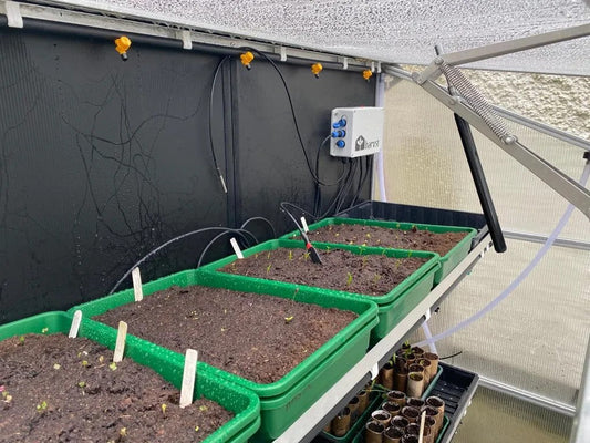 6 Greenhouse Growing Tips for Beginners