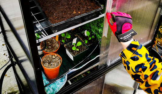 Growing your own food helps us look after the planet!