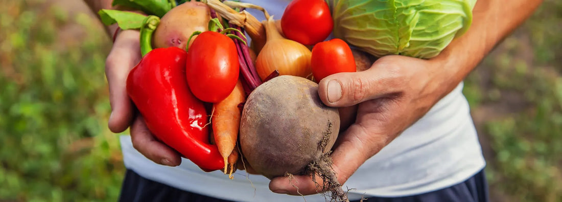 Gardening in August