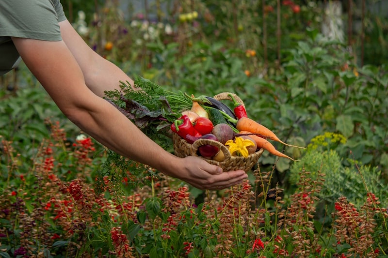 The Key to Stronger, Healthier Plants