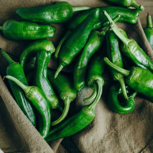 How to Grow Jalapeños
