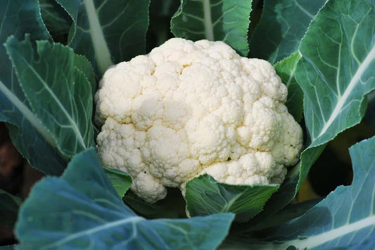 The Importance of Eating Seasonal Food
