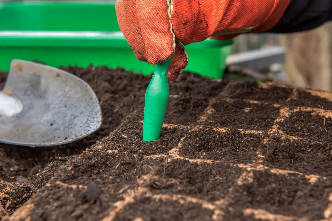 Gardening In January