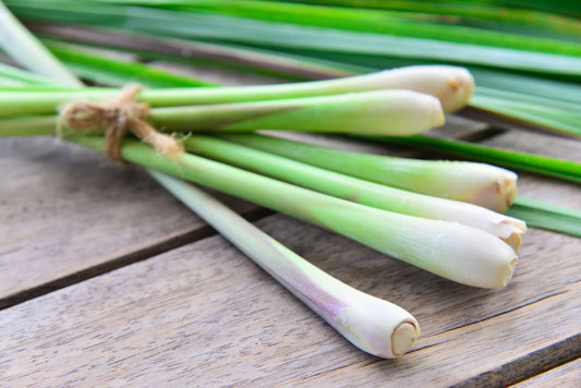How to Grow Lemon Grass