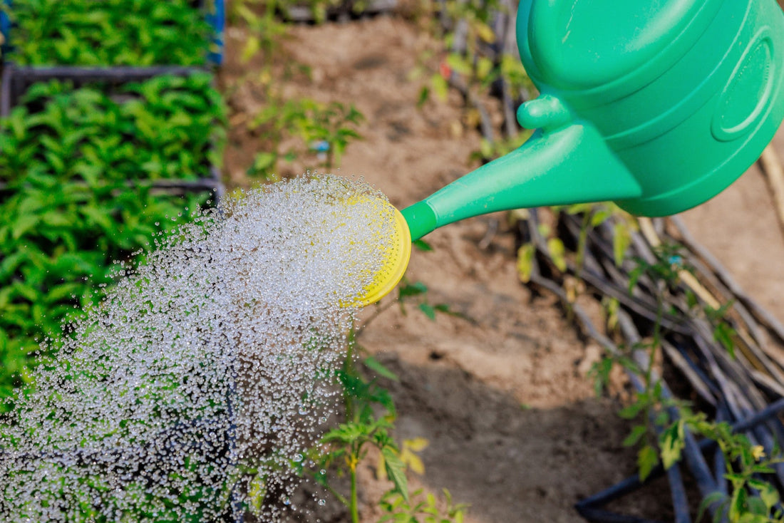 The True Cost of Manual Watering