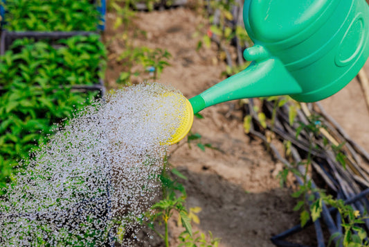 The True Cost of Manual Watering